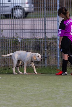 Bild 97 - D-Juniorinnen FSC Kaltenkirchen - SV Wahlstedt : Ergebnis: 3:1